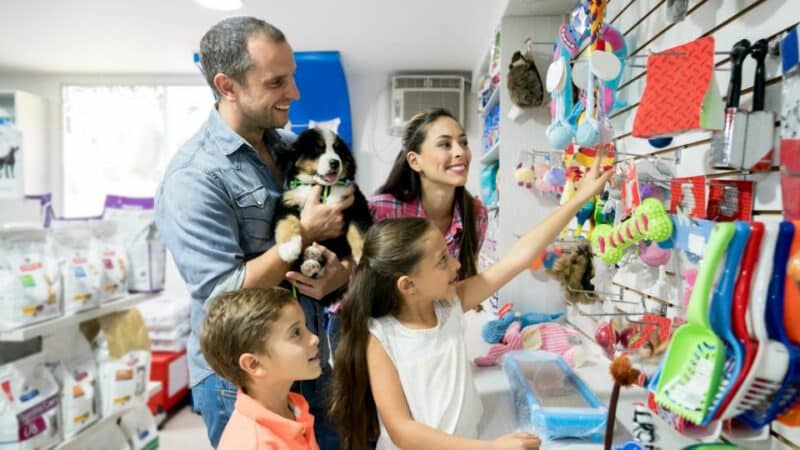 מזון וציוד לבעלי חיים