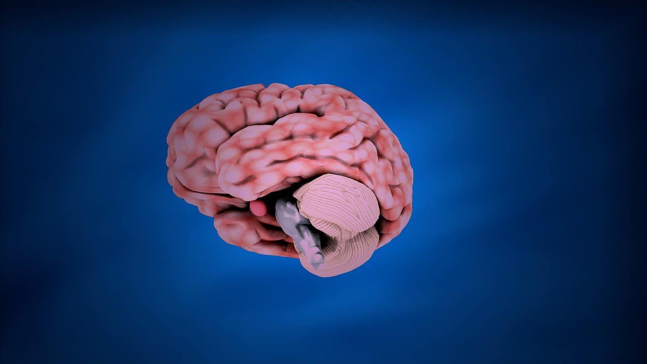 גידול גליובלסטומה